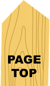 PAGE TOP